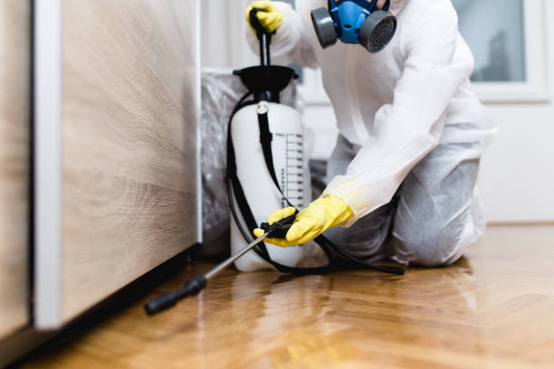 Best Best Pest Control Companies  in Meridianville, AL