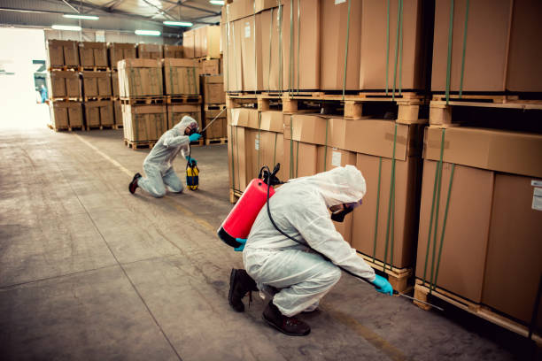Wasp Removal Services in Meridianville, AL