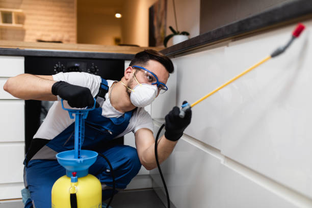 Best Emergency Pest Control  in Meridianville, AL