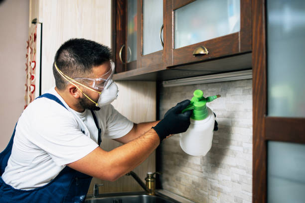 Best Pest Removal Services  in Meridianville, AL