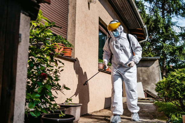 Best Rat Extermination Near Me  in Meridianville, AL