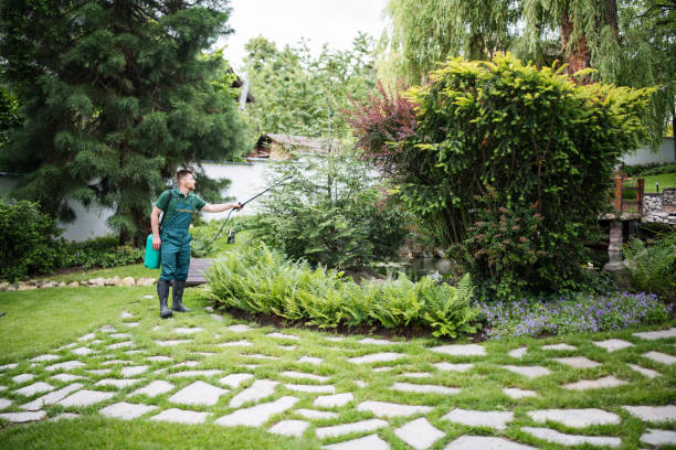 Best Pest Prevention Services  in Meridianville, AL