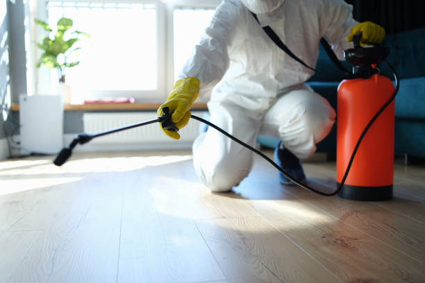 Best Termite Control Services  in Meridianville, AL