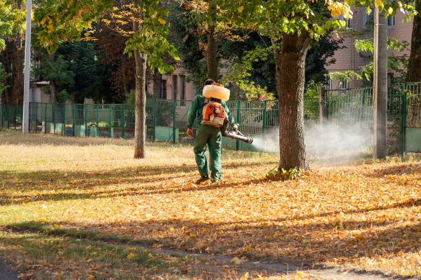 Best Pest Control for Businesses  in Meridianville, AL