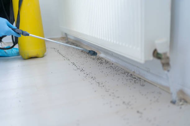 Meridianville, AL Pest Control Company