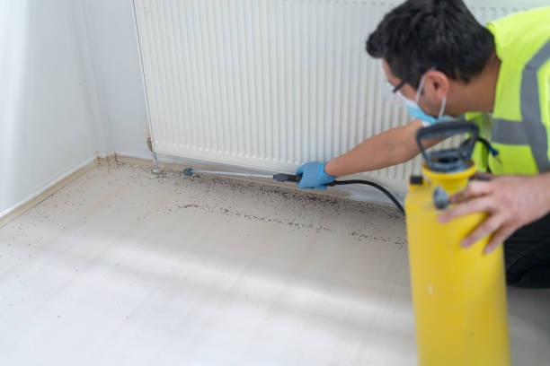 Best Exterminator Services  in Meridianville, AL